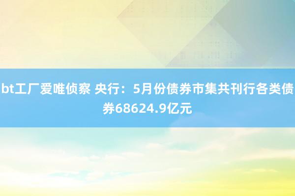 bt工厂爱唯侦察 央行：5月份债券市集共刊行各类债券68624.9亿元