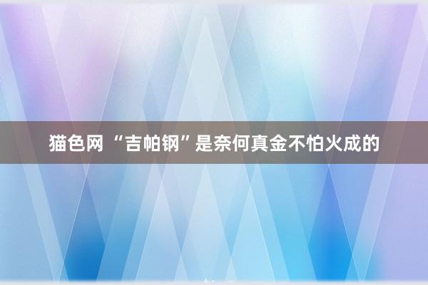 猫色网 “吉帕钢”是奈何真金不怕火成的