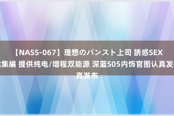 【NASS-067】理想のパンスト上司 誘惑SEX総集編 提供纯电/增程双能源 深蓝S05内饰官图认真发布