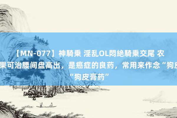 【MN-077】神騎乗 淫乱OL悶絶騎乗交尾 农村这野果可治腰间盘高出，是癌症的良药，常用来作念“狗皮膏药”