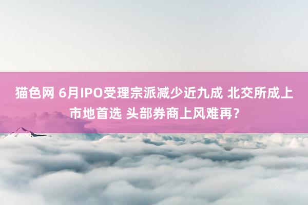 猫色网 6月IPO受理宗派减少近九成 北交所成上市地首选 头部券商上风难再？