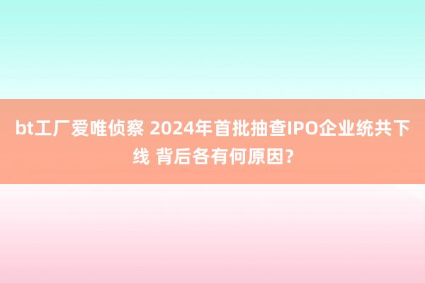 bt工厂爱唯侦察 2024年首批抽查IPO企业统共下线 背后各有何原因？