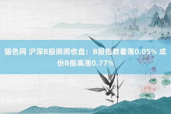 猫色网 沪深B股阛阓收盘：B股指数着落0.05% 成份B指高涨0.77%