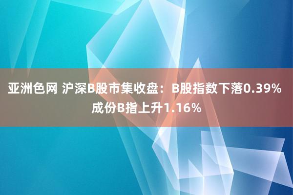 亚洲色网 沪深B股市集收盘：B股指数下落0.39% 成份B指上升1.16%