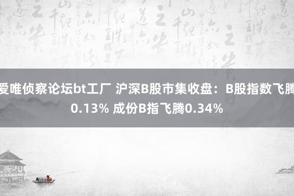 爱唯侦察论坛bt工厂 沪深B股市集收盘：B股指数飞腾0.13% 成份B指飞腾0.34%