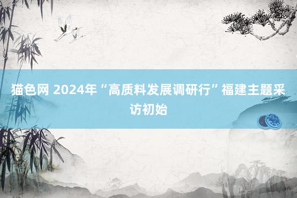 猫色网 2024年“高质料发展调研行”福建主题采访初始