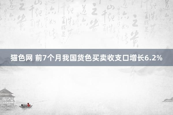 猫色网 前7个月我国货色买卖收支口增长6.2%