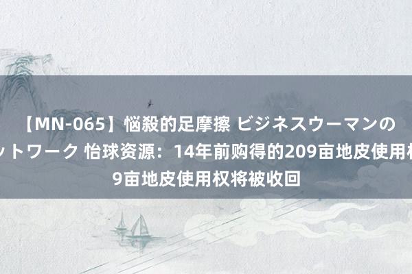 【MN-065】悩殺的足摩擦 ビジネスウーマンの淫らなフットワーク 怡球资源：14年前购得的209亩地皮使用权将被收回