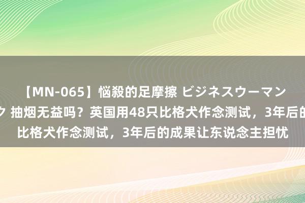 【MN-065】悩殺的足摩擦 ビジネスウーマンの淫らなフットワーク 抽烟无益吗？英国用48只比格犬作念测试，3年后的成果让东说念主担忧