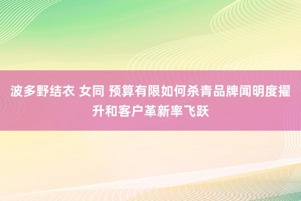 波多野结衣 女同 预算有限如何杀青品牌闻明度擢升和客户革新率飞跃