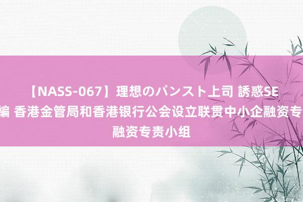 【NASS-067】理想のパンスト上司 誘惑SEX総集編 香港金管局和香港银行公会设立联贯中小企融资专责小组