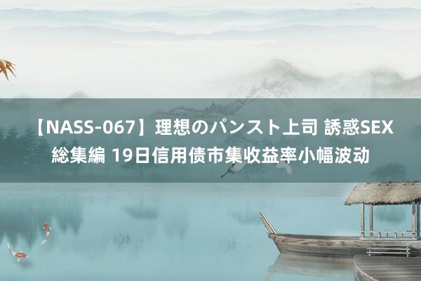 【NASS-067】理想のパンスト上司 誘惑SEX総集編 19日信用债市集收益率小幅波动