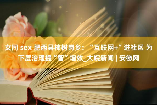 女同 sex 肥西县柿树岗乡：“互联网+”进社区 为下层治理提“智”增效_大皖新闻 | 安徽网