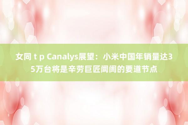 女同 t p Canalys展望：小米中国年销量达35万台将是辛劳巨匠阛阓的要道节点